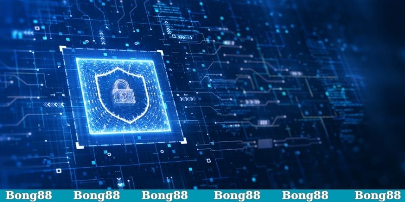 Bóng88 đảm bảo minh bạch, uy tín