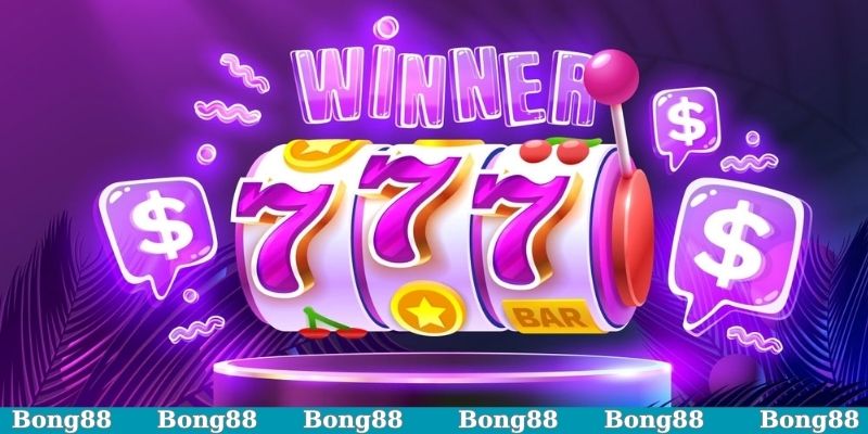 Vai trò của tác giả Bóng88 trong cá cược