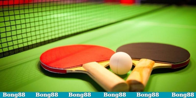 Cá cược bóng bàn cần chú ý những gì?