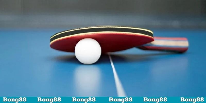 Cá cược bóng bàn