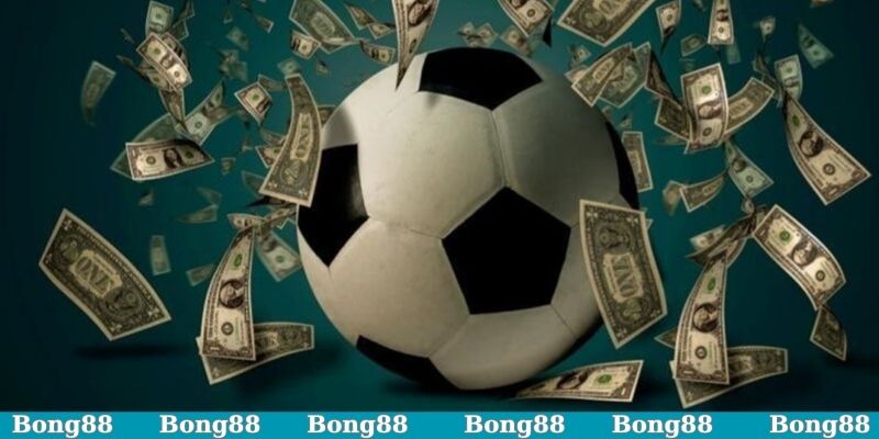 Kèo Score Box là gì