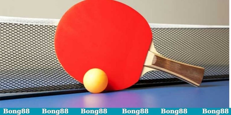 Một số kèo cược bóng bàn hiệu quả cho dân cược
