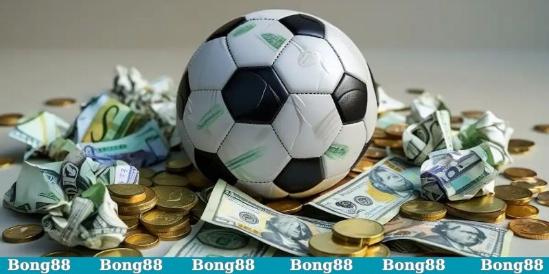 Một số loại cược Score Box dành cho hội viên