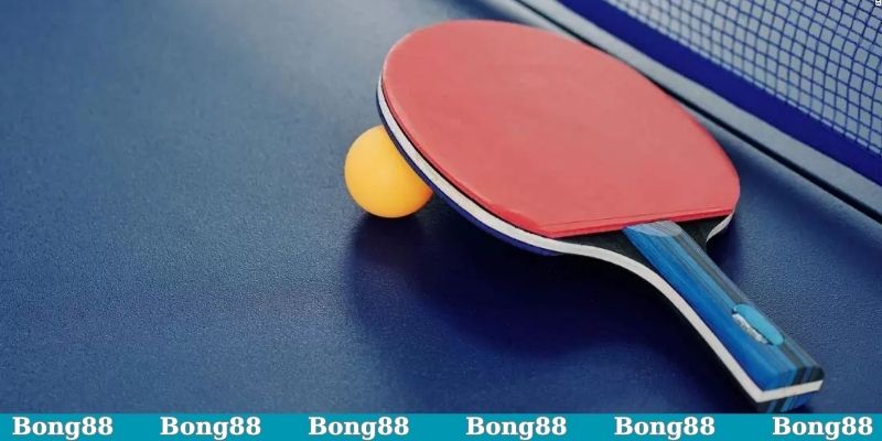 Sức cuốn hút của cá cược bóng bàn