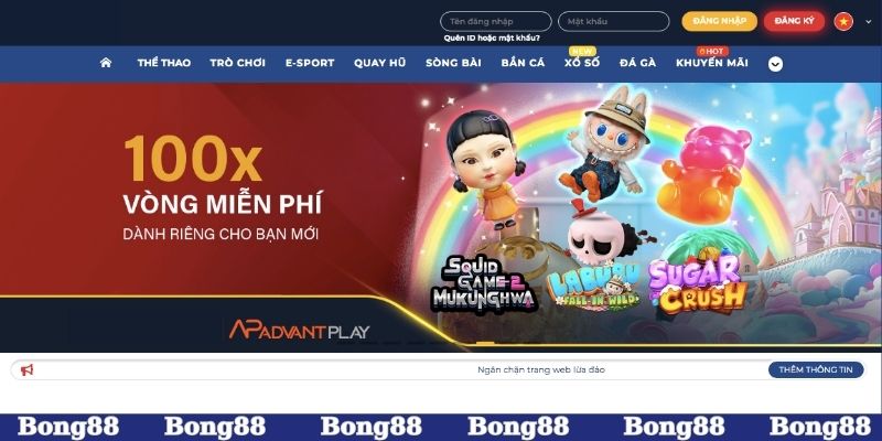 Thông tin về giấy phép hoạt động của Bong88